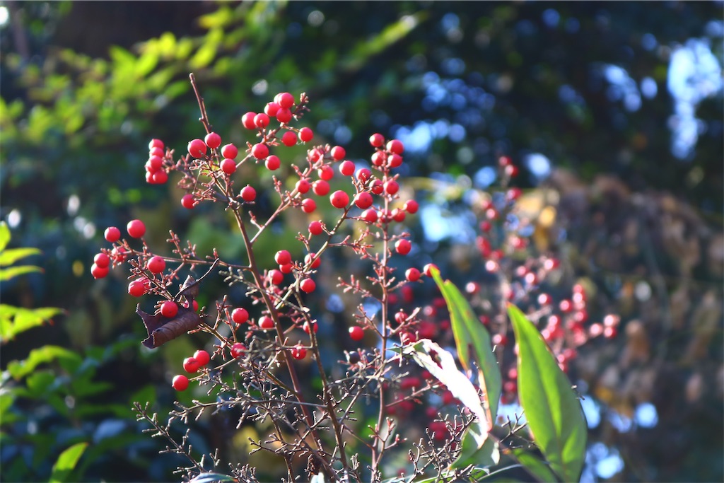 f:id:tnkkens4931:20190103004552j:image f:id:tnkkens4931:20190103004552j:image