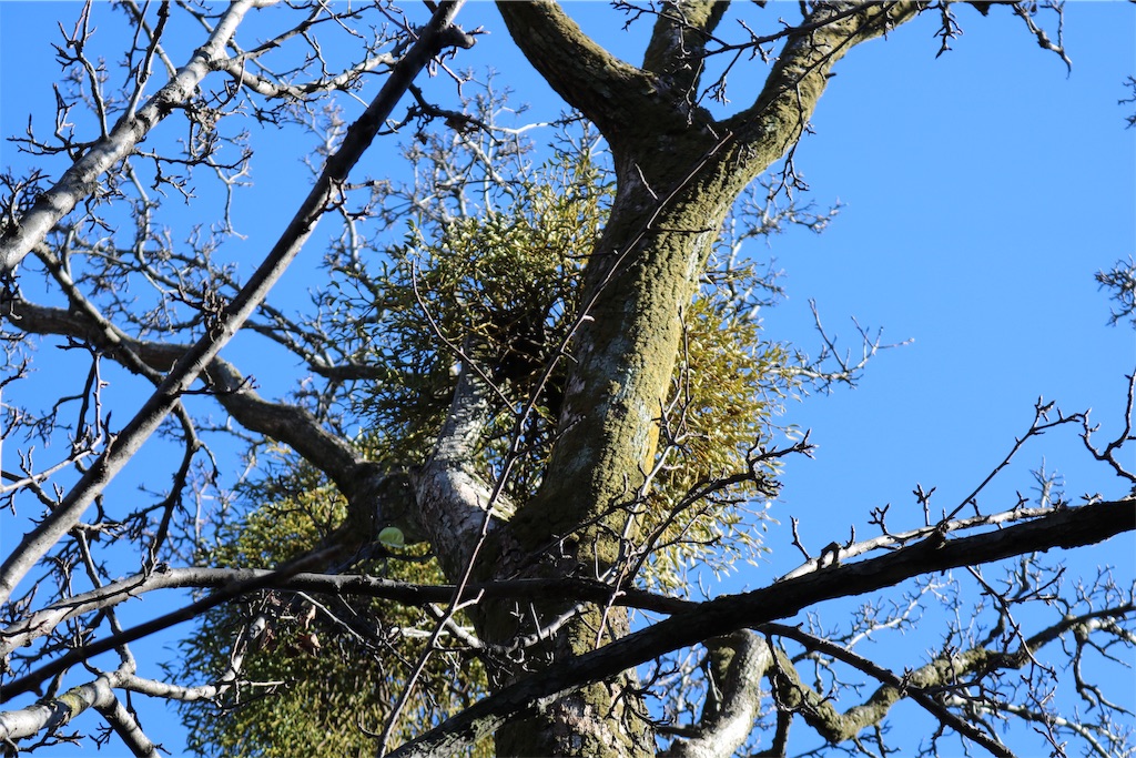 f:id:tnkkens4931:20190103005221j:image f:id:tnkkens4931:20190103005221j:image