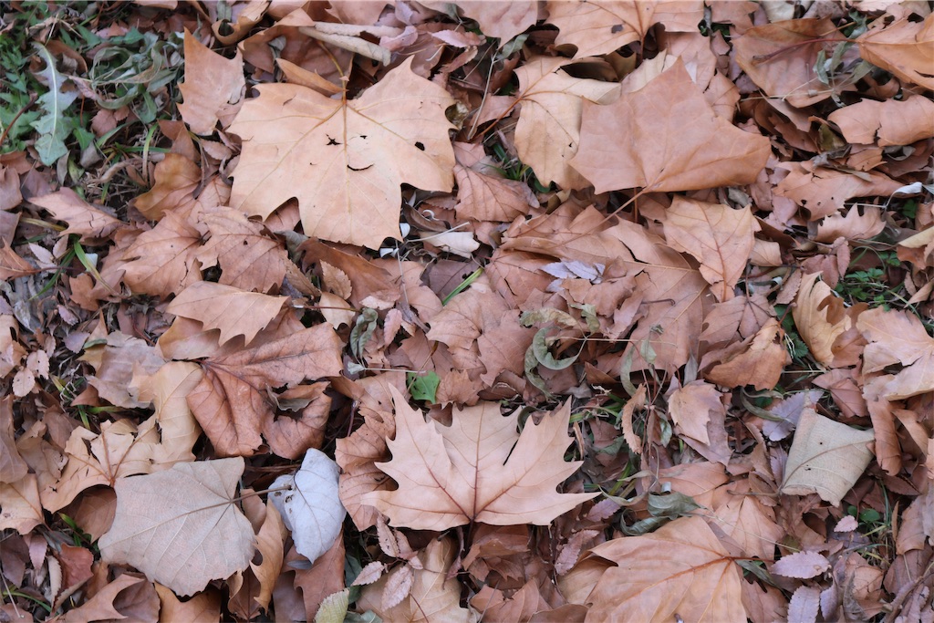f:id:tnkkens4931:20190103011937j:image f:id:tnkkens4931:20190103011937j:image