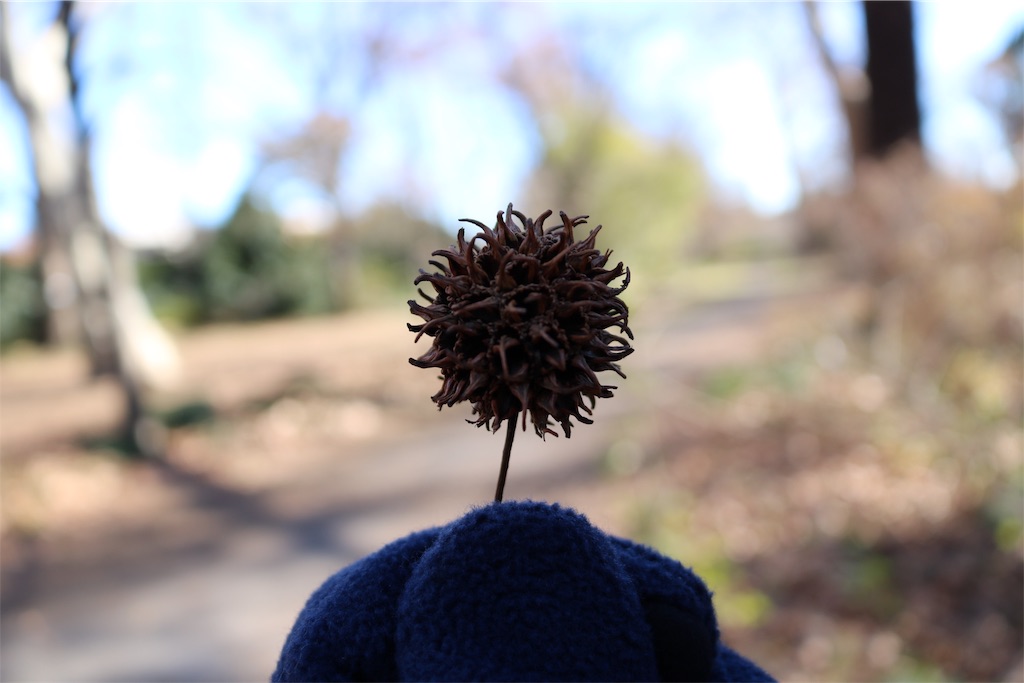 f:id:tnkkens4931:20190103014455j:image f:id:tnkkens4931:20190103014455j:image