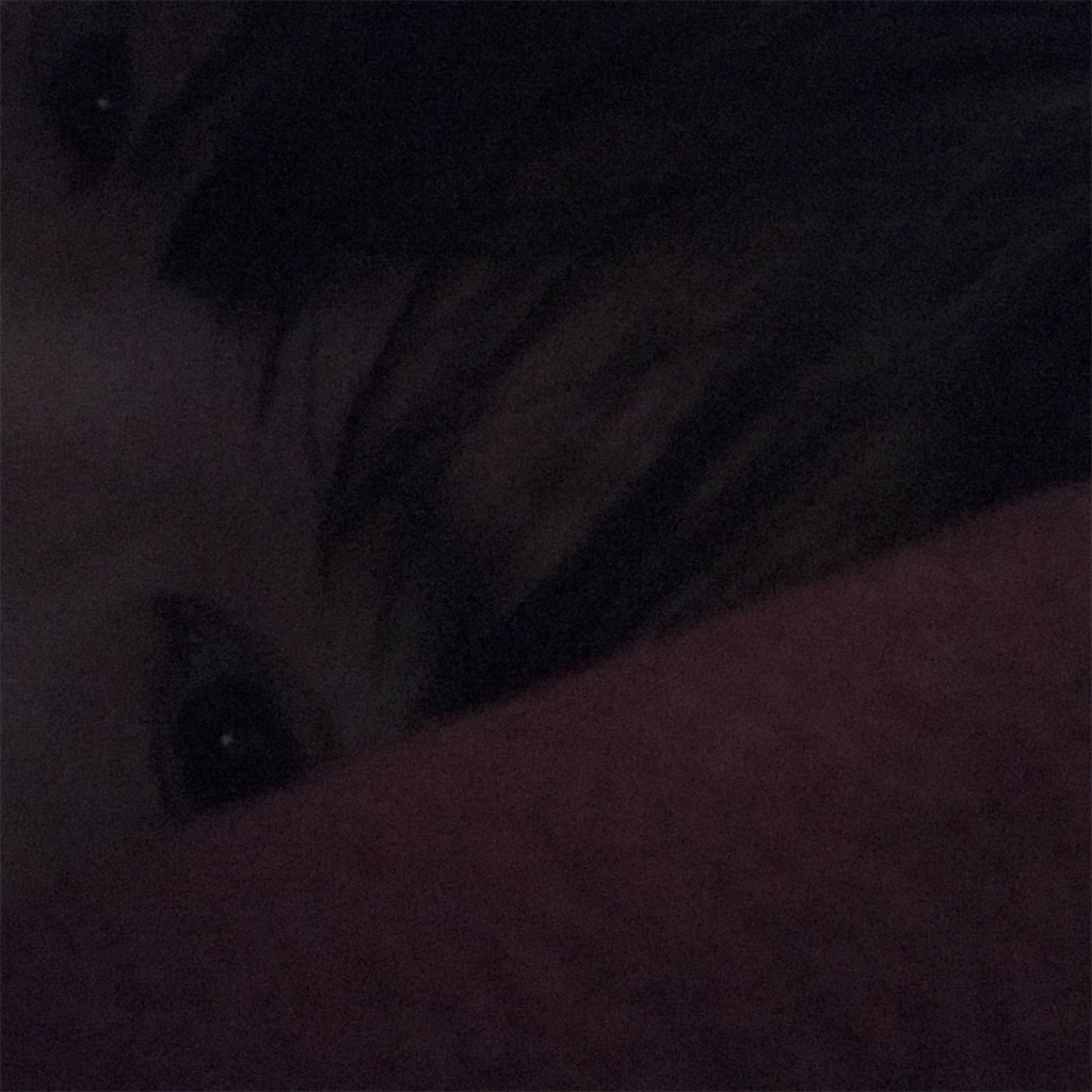 f:id:tnksyr:20190209102920j:image f:id:tnksyr:20190209102920j:image