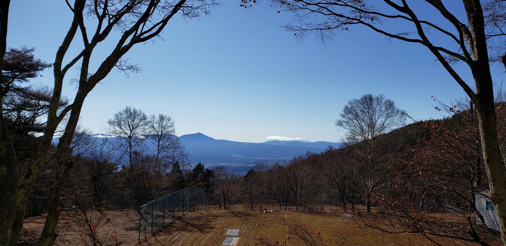 f:id:tnkygo:20201222150521j:image f:id:tnkygo:20201222150521j:image