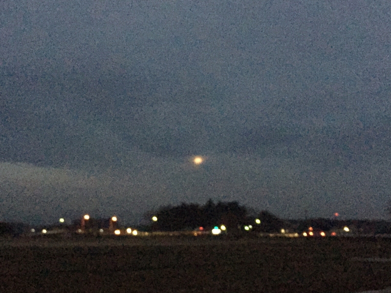f:id:tnmyco15:20150106062643j:image f:id:tnmyco15:20150106062643j:image