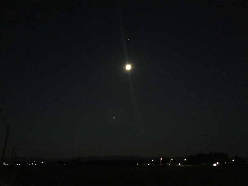 f:id:tnmyco15:20150108060813j:image f:id:tnmyco15:20150108060813j:image