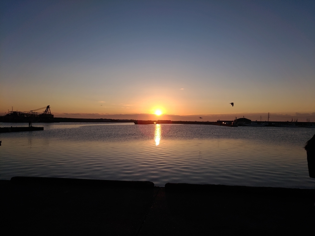 f:id:to-eureka:20190210024535j:plain f:id:to-eureka:20190210024535j:plain