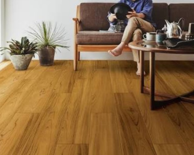 f:id:to-ichi:20180423211647j:plain f:id:to-ichi:20180423211647j:plain