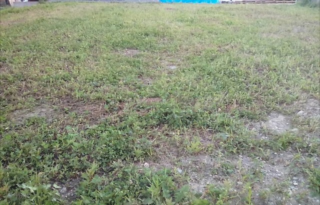 f:id:to-ichi:20180813195556j:plain f:id:to-ichi:20180813195556j:plain