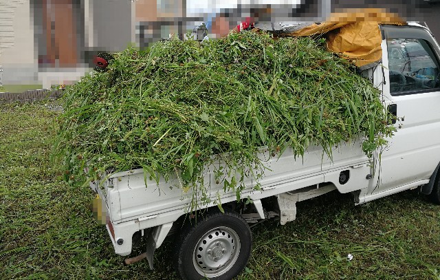 f:id:to-ichi:20180813201207j:plain f:id:to-ichi:20180813201207j:plain