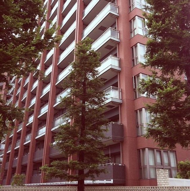 f:id:to-ichi:20190703215302j:plain