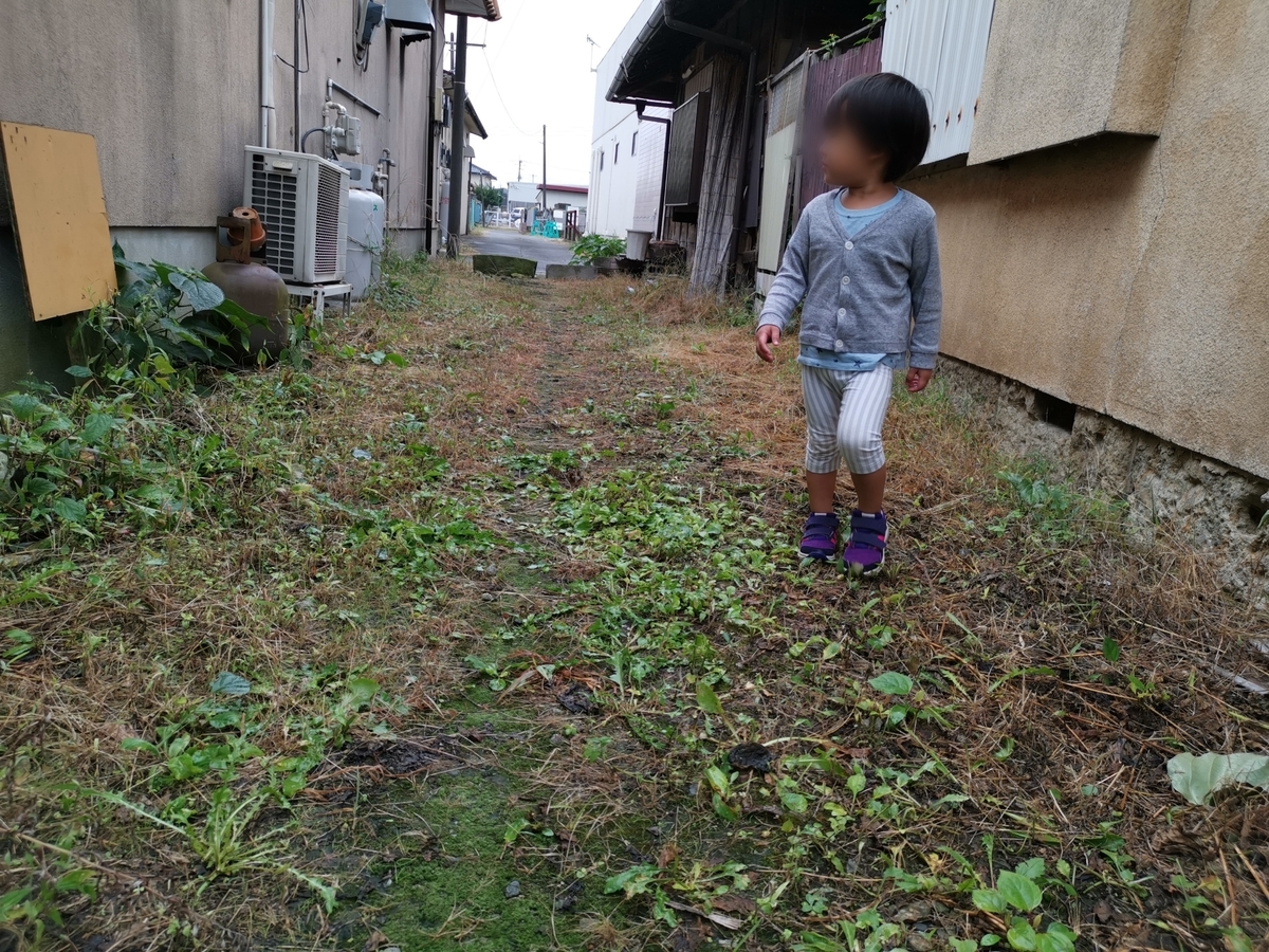 裏路地を歩く子供