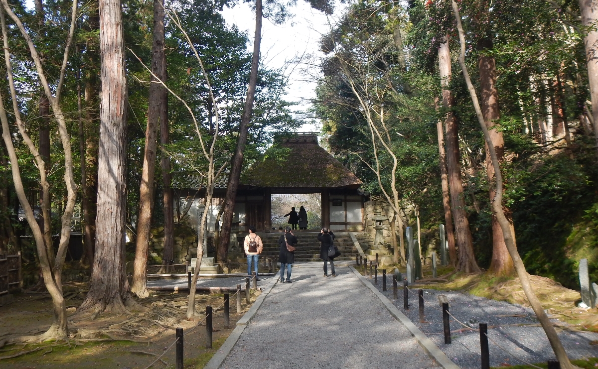f:id:to-kyoto:20200211104530j:plain f:id:to-kyoto:20200211104530j:plain