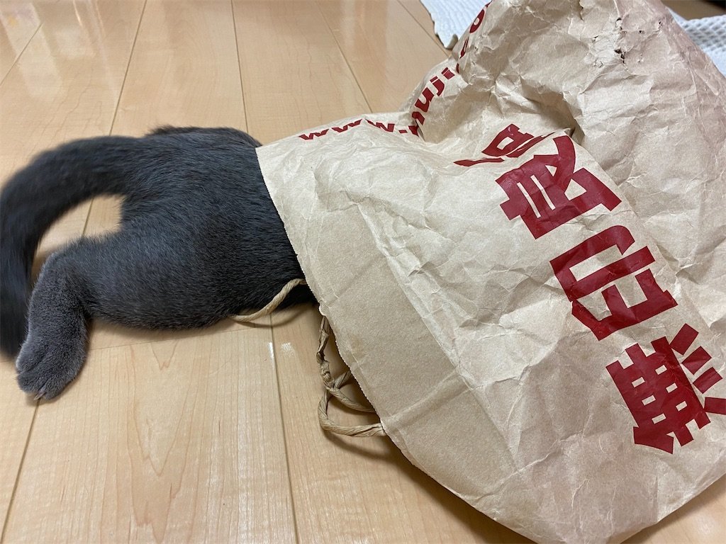 f:id:to-ma-ko:20211006100314j:image