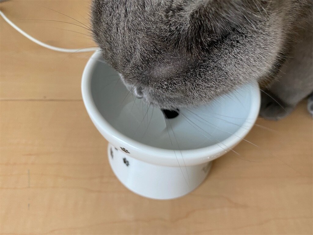 f:id:to-ma-ko:20230711072313j:image