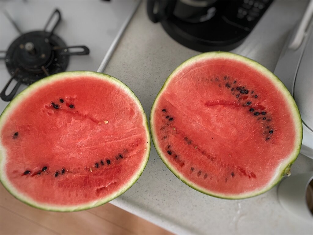 f:id:to-ma-ko:20240811102737j:image