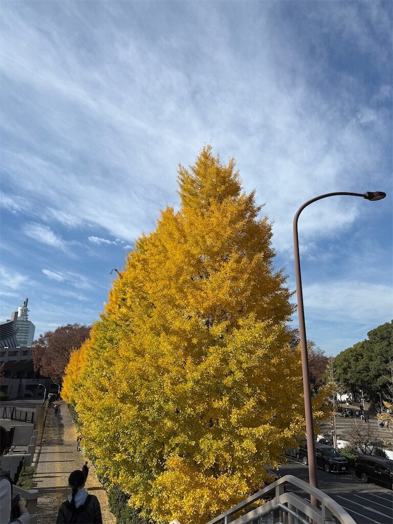 f:id:to-ma-ko:20251125074936j:image