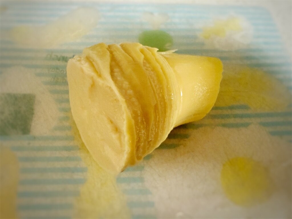f:id:to-ma-ko:20260417131505j:image