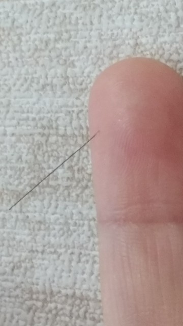 髪の毛が指に刺さった とまじゅの見たもの 髪の毛が指に刺さった とまじゅの見たもの