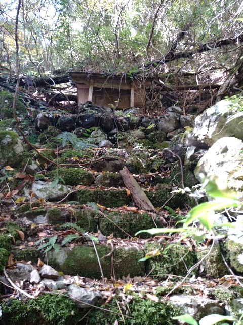 f:id:to-ma-to-juice:20201111012910j:plain