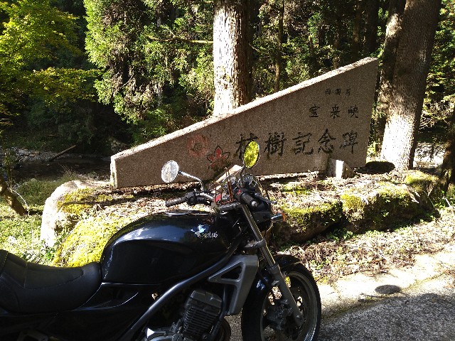 f:id:to-ma-to-juice:20201113022528j:plain