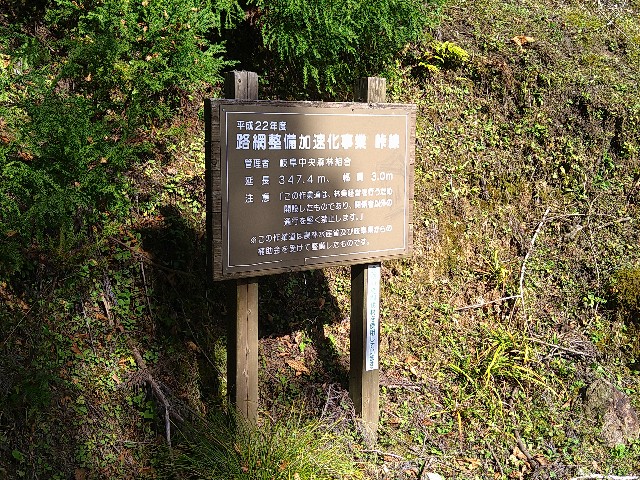 f:id:to-ma-to-juice:20201113083946j:plain