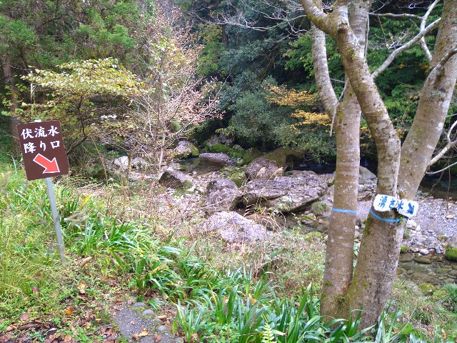 f:id:to-ma-to-juice:20201113084055j:plain