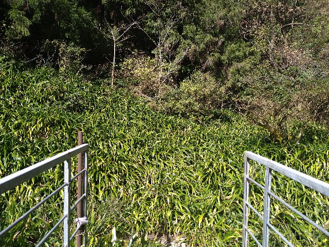 f:id:to-ma-to-juice:20201113084321j:plain