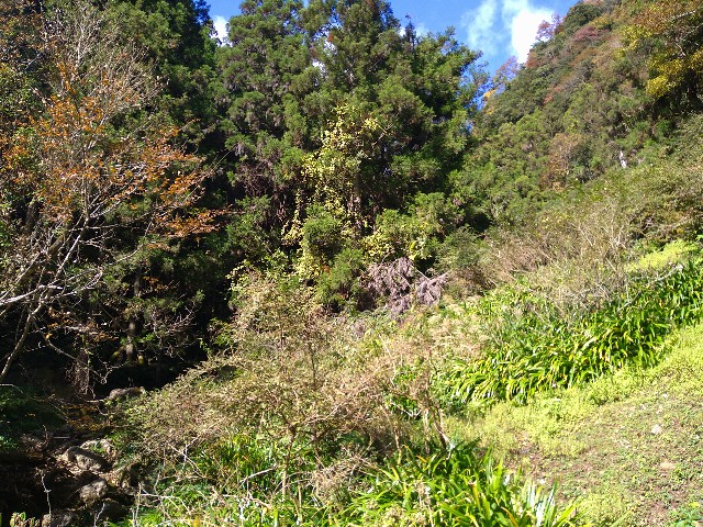 f:id:to-ma-to-juice:20201113084416j:plain