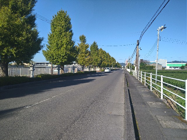 f:id:to-ma-to-juice:20251117122447j:image f:id:to-ma-to-juice:20251117122447j:image