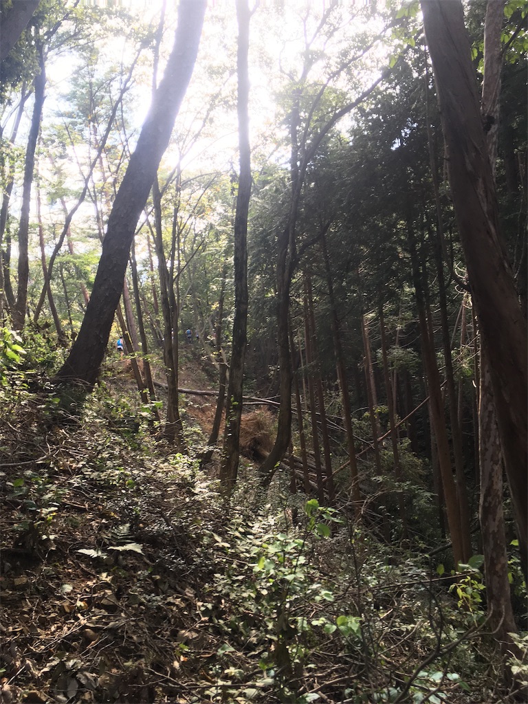 f:id:to-ma7:20181011102719j:image f:id:to-ma7:20181011102719j:image