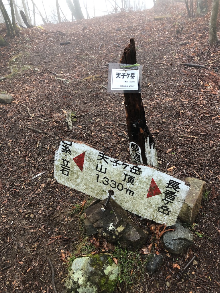 f:id:to-ma7:20190514163057j:image f:id:to-ma7:20190514163057j:image