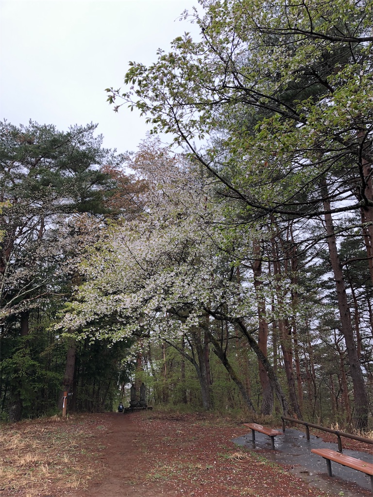 f:id:to-ma7:20190603160615j:image f:id:to-ma7:20190603160615j:image