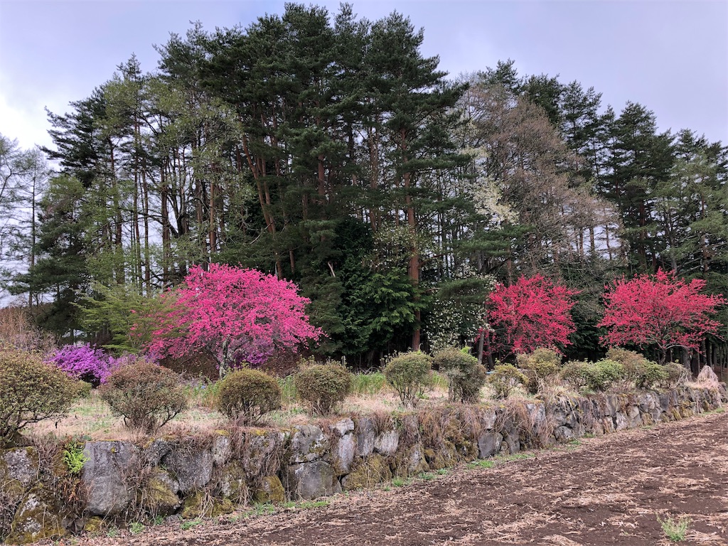 f:id:to-ma7:20190603161456j:image f:id:to-ma7:20190603161456j:image