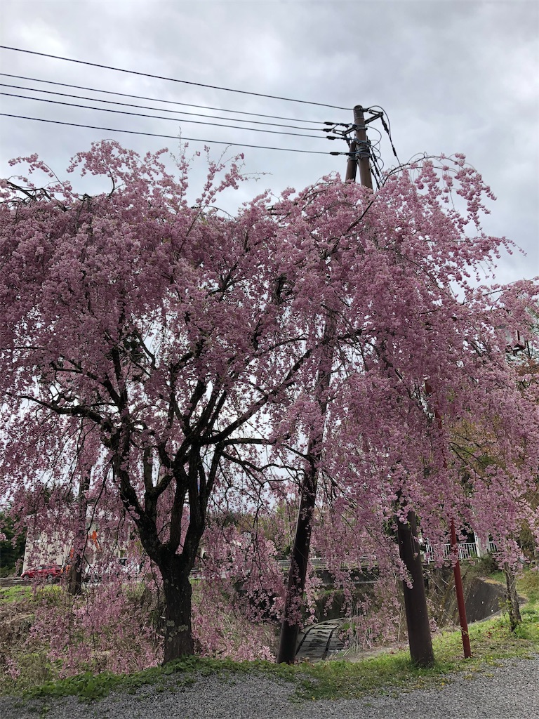 f:id:to-ma7:20190603161519j:image f:id:to-ma7:20190603161519j:image