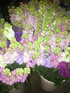 f:id:to-mo-zo:20110219182200j:image f:id:to-mo-zo:20110219182200j:image