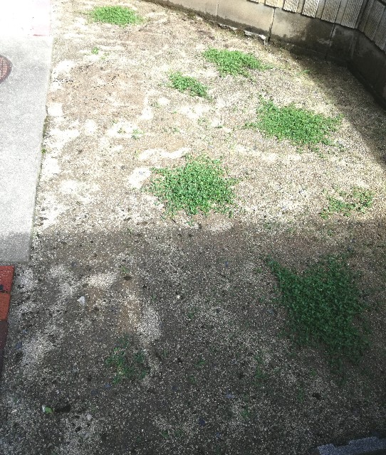 f:id:to-wayu:20201107103634j:image