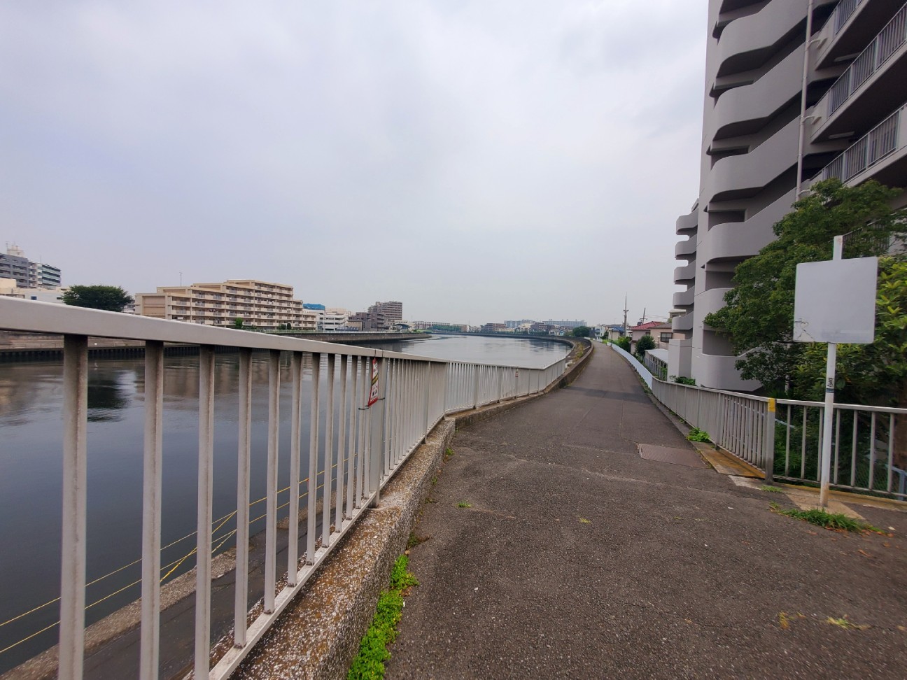 鶴見川沿いの道のようす