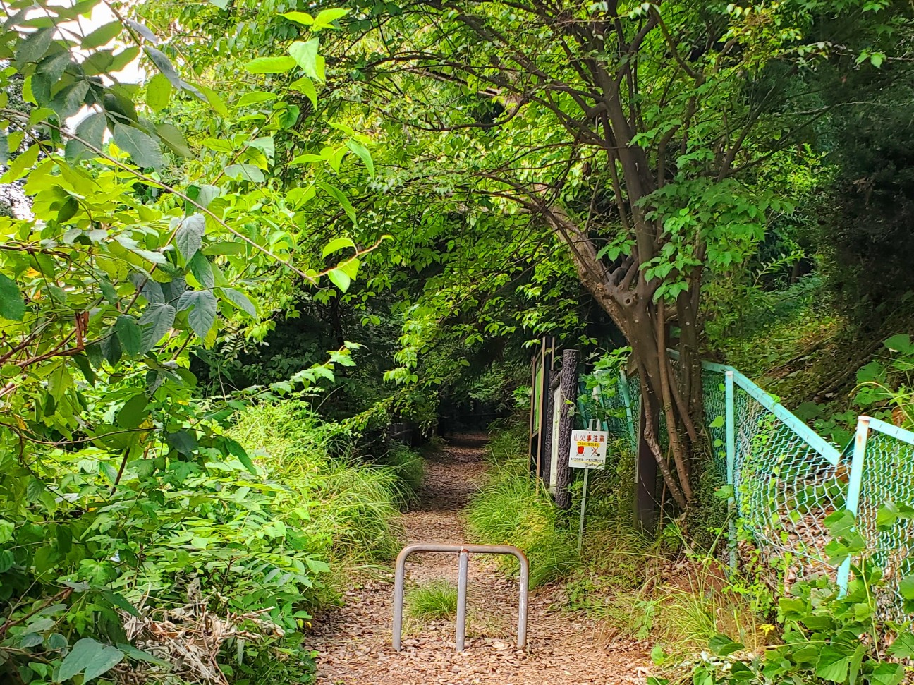 「追分市民の森」の入口のようす