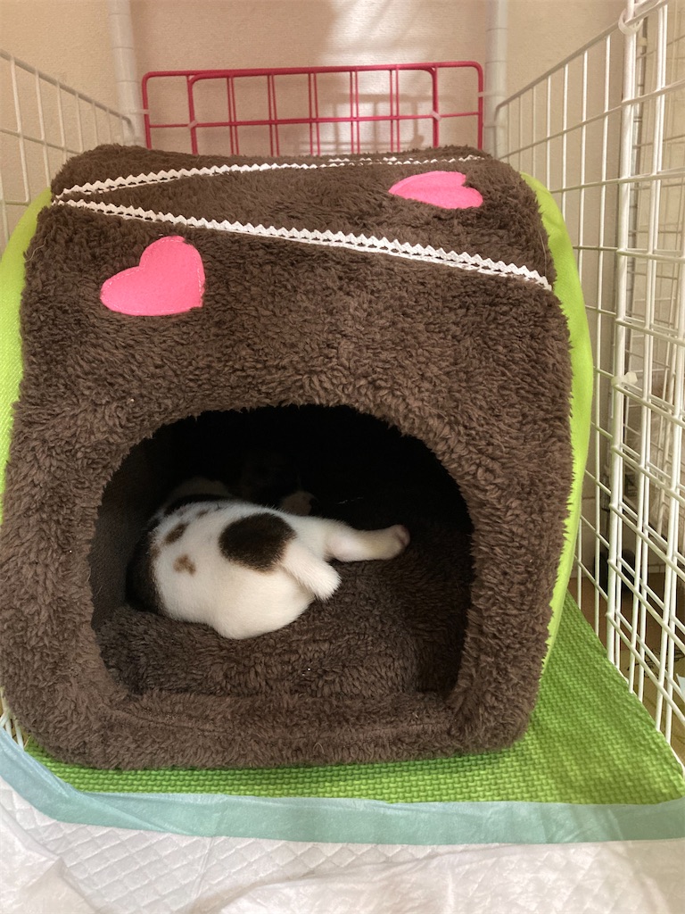 f:id:to3o:20200731070302j:image