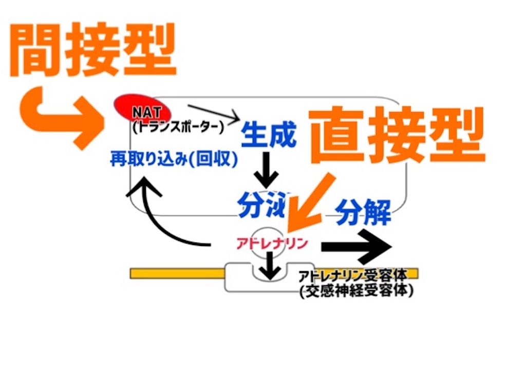 f:id:to_be_phm:20210111214112j:plain