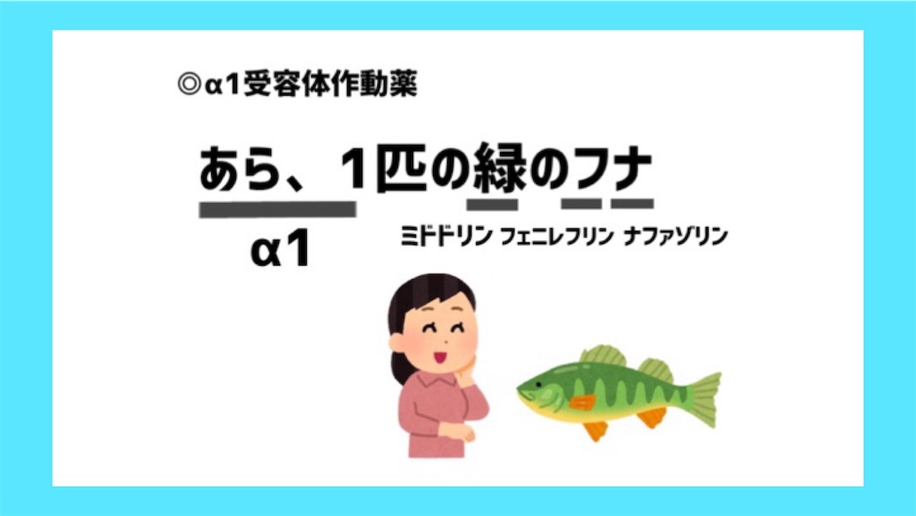 f:id:to_be_phm:20210111233922j:image