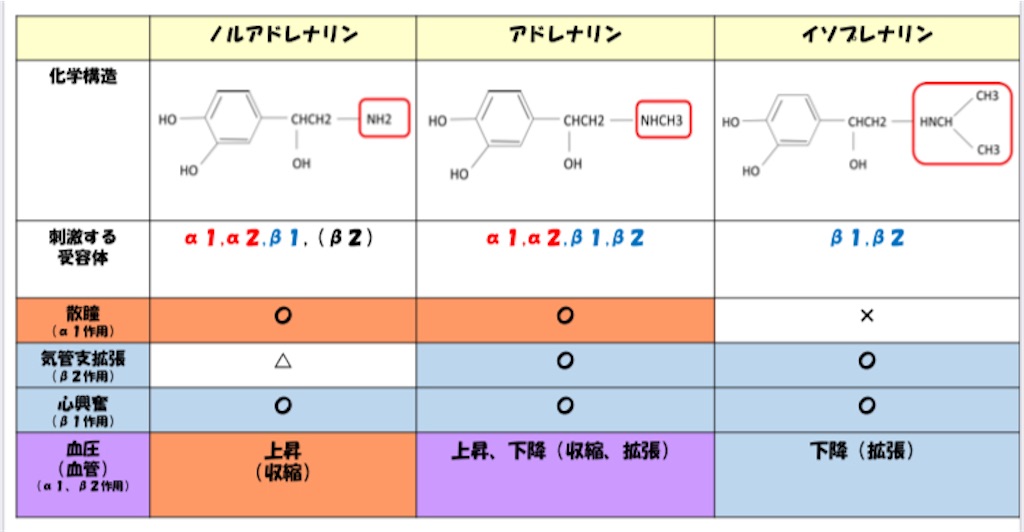 f:id:to_be_phm:20210112203948j:image