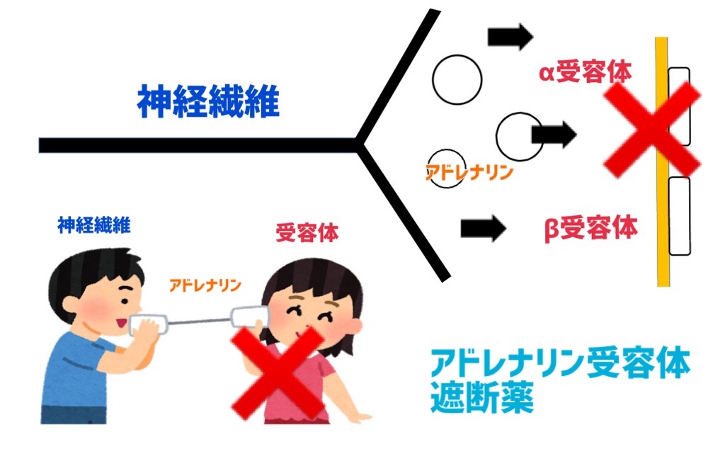 f:id:to_be_phm:20210113094911j:image