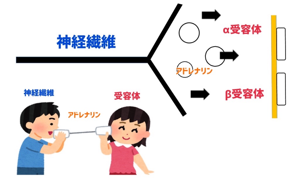 f:id:to_be_phm:20210113095029j:image