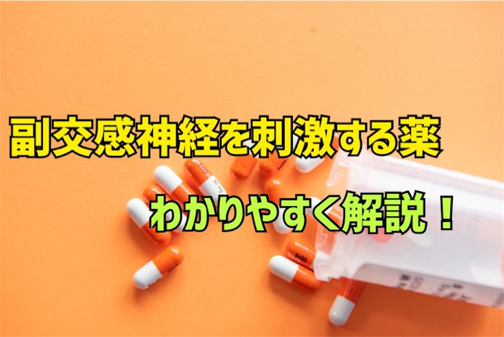 f:id:to_be_phm:20210115215021j:image