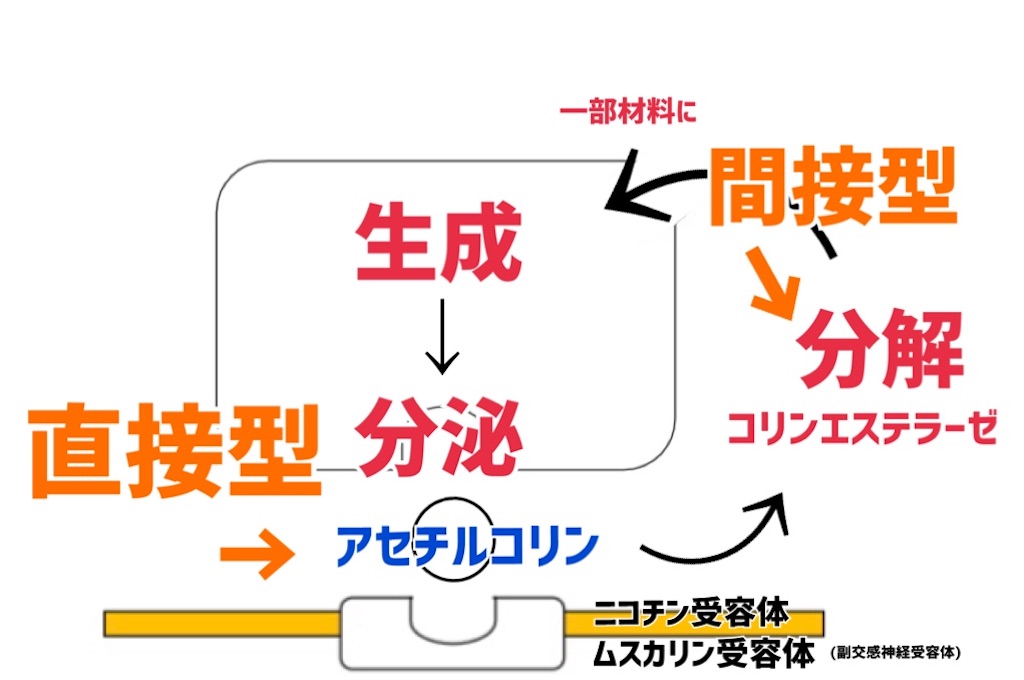 f:id:to_be_phm:20210115223841j:image