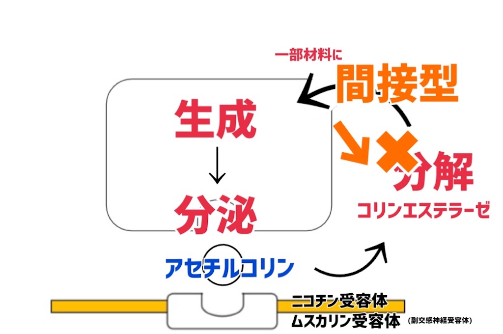 f:id:to_be_phm:20210115224204j:image