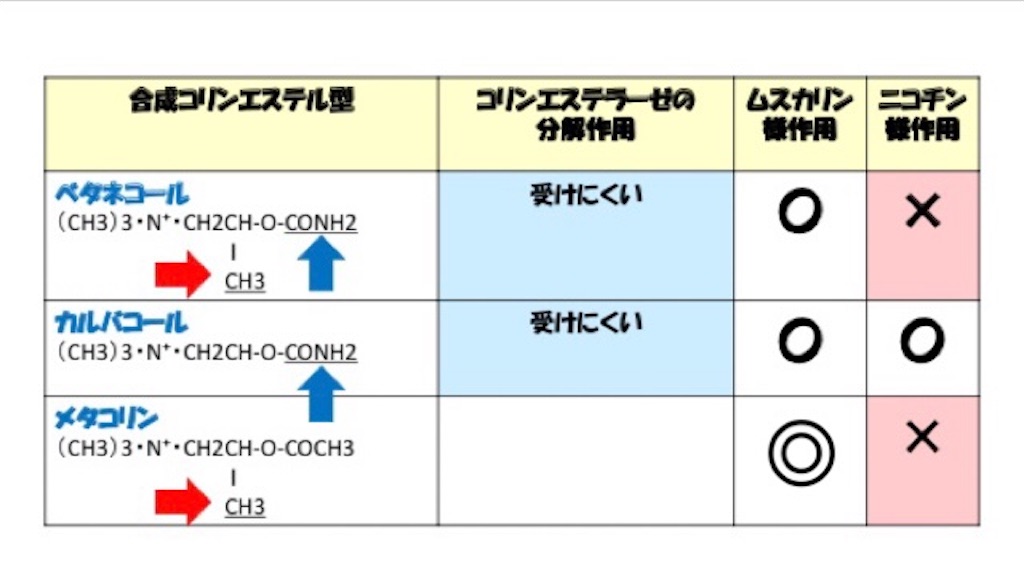f:id:to_be_phm:20210116213532j:image