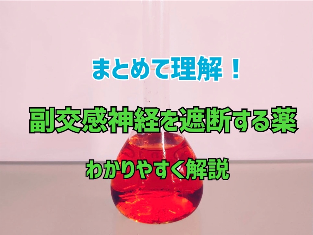 f:id:to_be_phm:20210117204908j:image