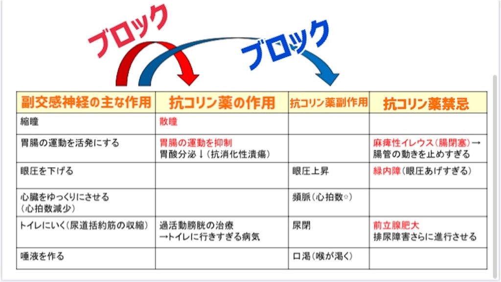 f:id:to_be_phm:20210117220503j:image