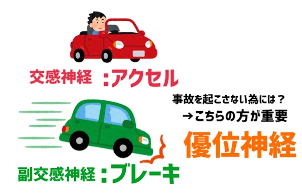 f:id:to_be_phm:20210118225426j:image